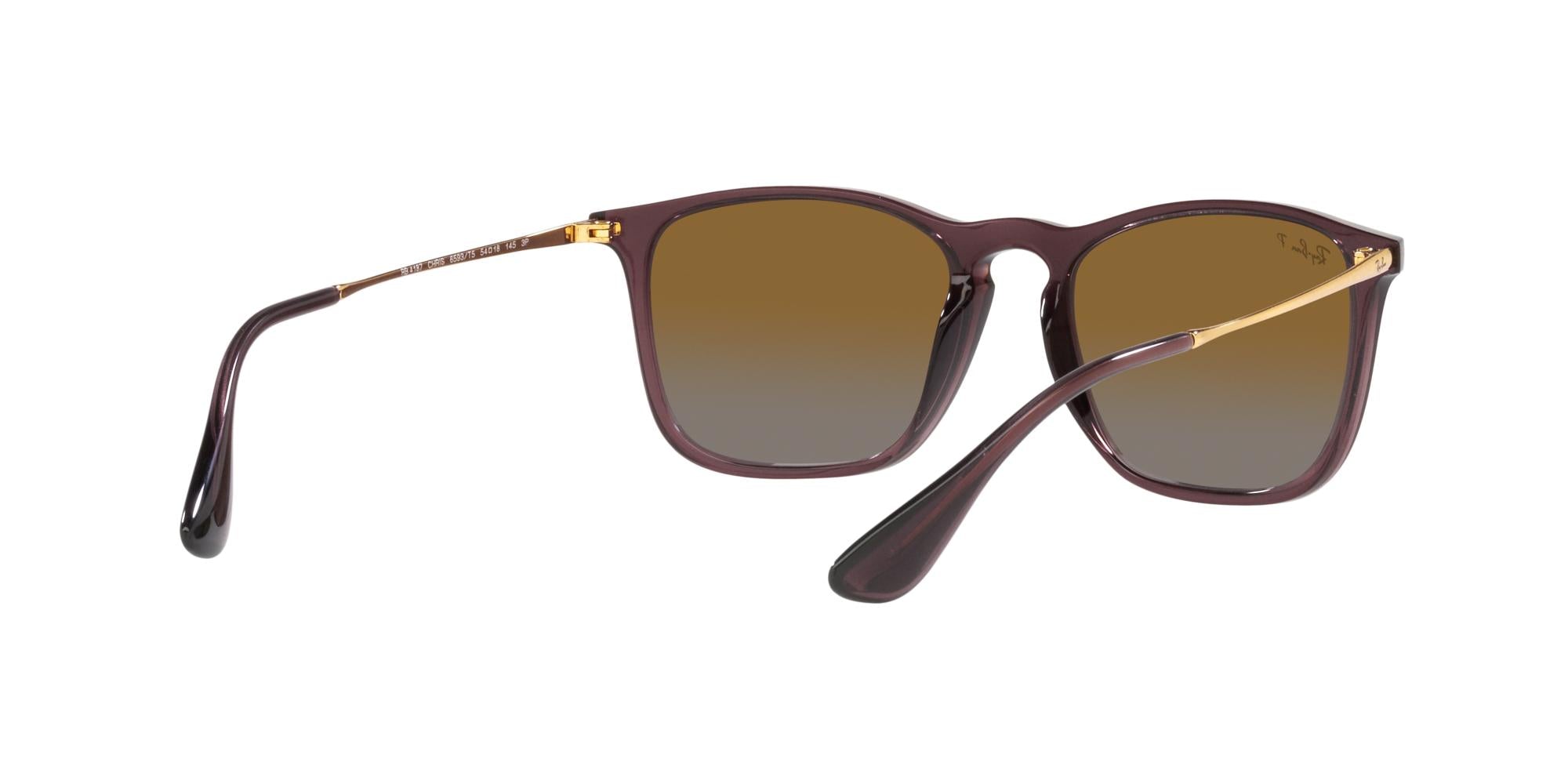 RAY-BAN CHRIS Transparent Brown / Brown / 6593T5(54)