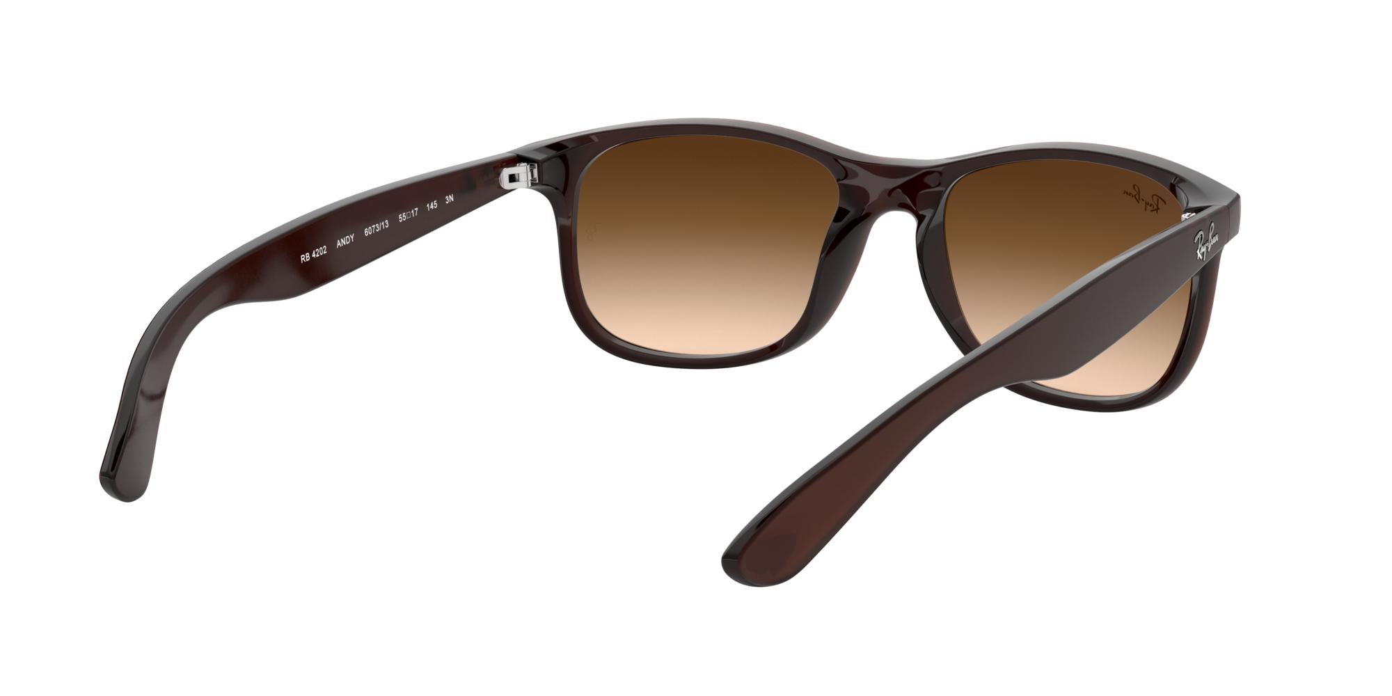 RAY-BAN ANDY Brown / Brown Gradient / 607313(55)